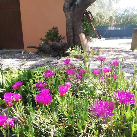 Residenza Uliveto Su Contu Alguer