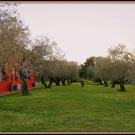 Residenza Uliveto Su Contu Alguer