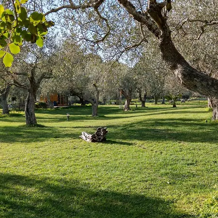 Residenza Uliveto Su Contu Apartamento *