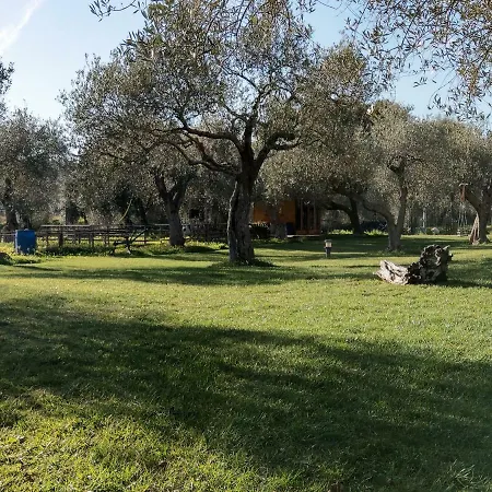 Residenza Uliveto Su Contu Alguer