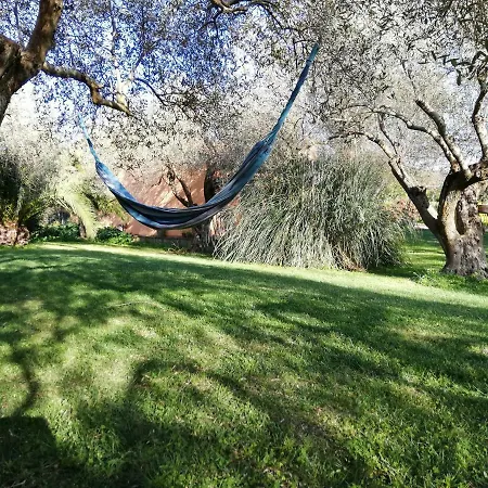 Apartamento Residenza Uliveto Su Contu Alguer