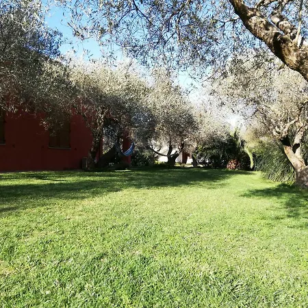 Residenza Uliveto Su Contu Apartamento
