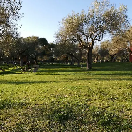 Residenza Uliveto Su Contu Apartamento