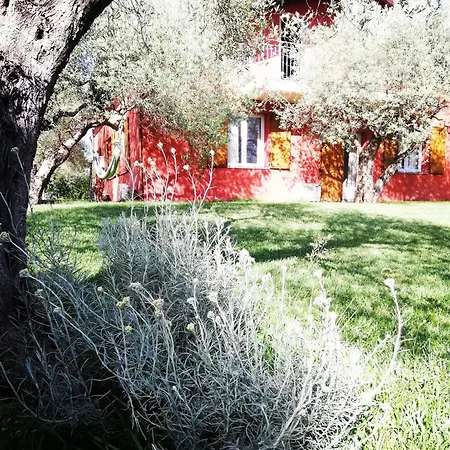 Residenza Uliveto Su Contu *